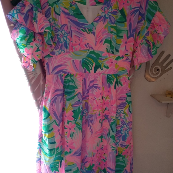Lilly Pulitzer dress - Picture 4 of 6